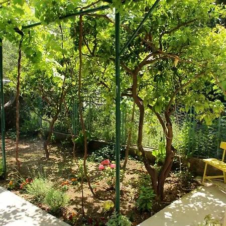 Gæstehus Marana Split