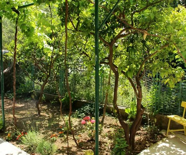 Affittacamere Marana Spalato